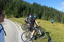 Bild 2